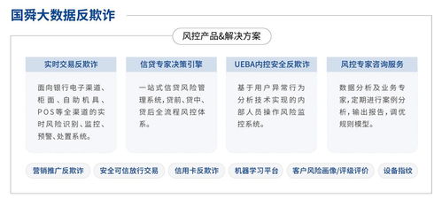 國舜股份 業務安全、安全開發與安全服務領域的卓越代表者，引領信息系統集成服務新篇章